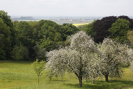 PARC MARGUERITE YOURCENAR MONT NOIR 