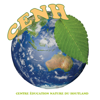 ancien logo du CENH