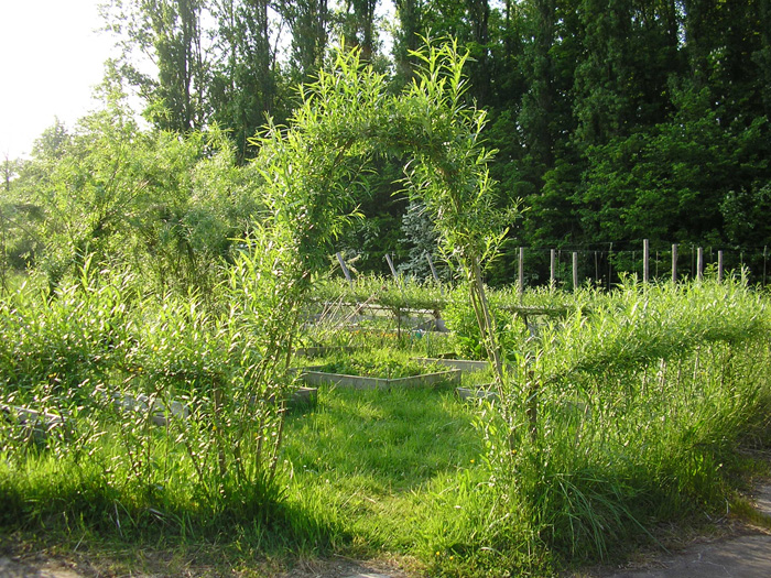 Photographie de la haie champêtre du CENH