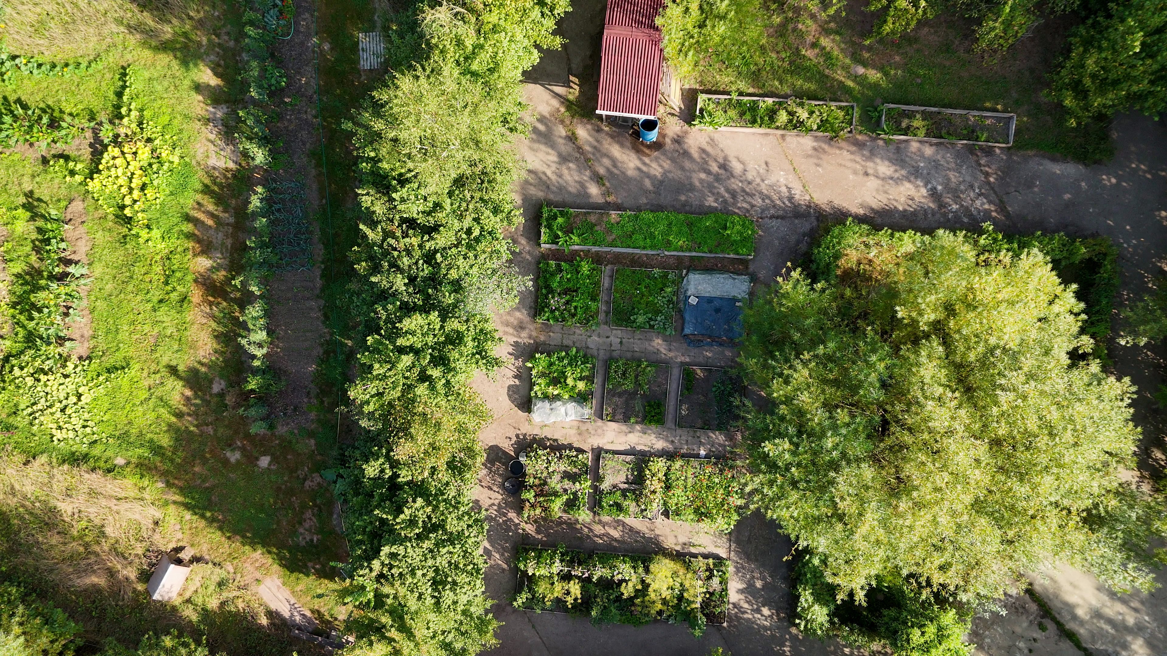 Photographie du potager pédagogique du CENH