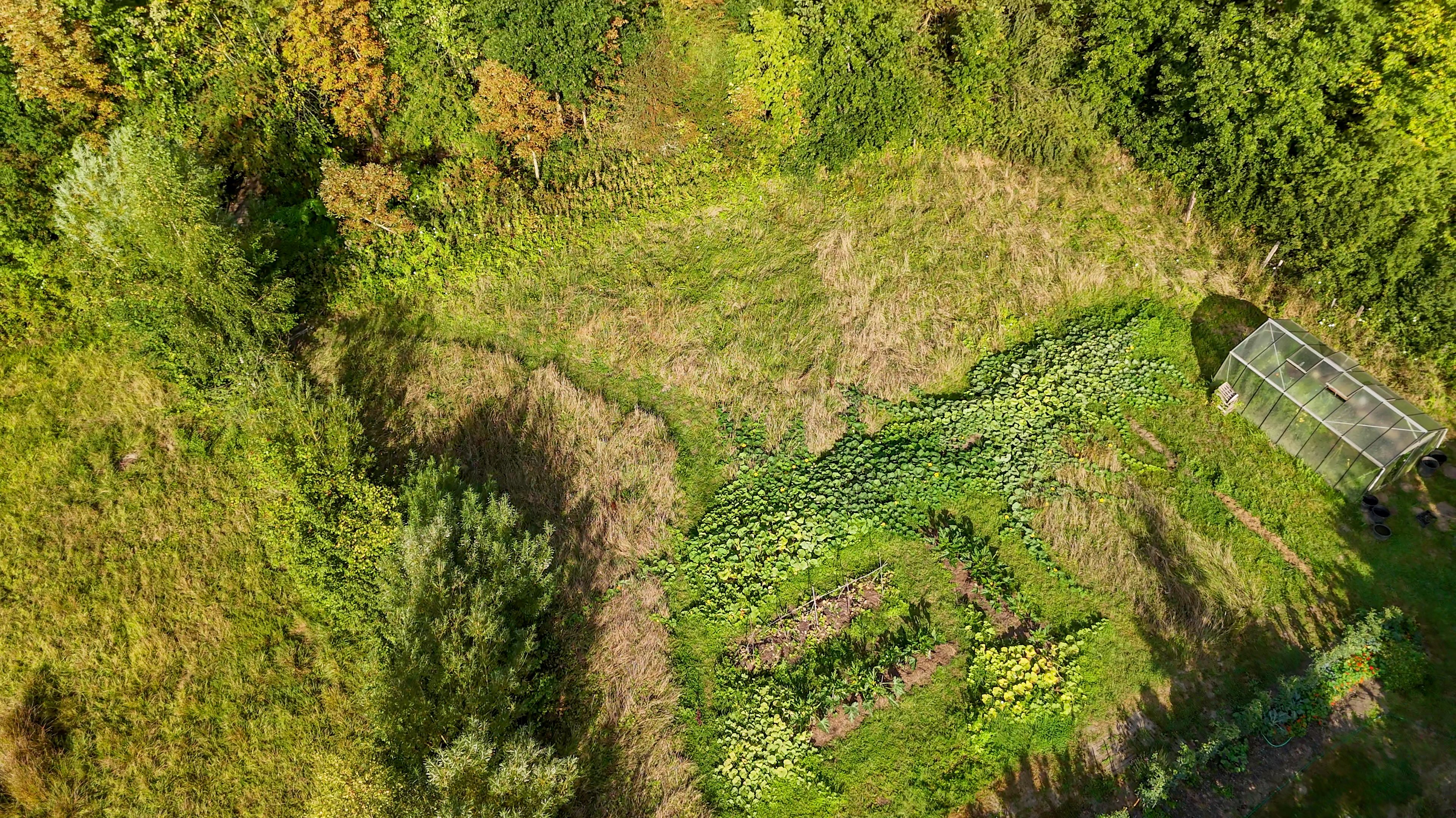 Photographie des prairies humides du CENH